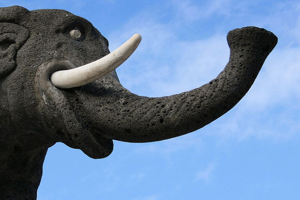  Sycylia | Fontanna w kształcie słonia – symbol Katanii 