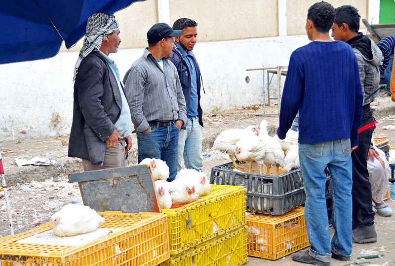 Tunezja | Targowanie się to jeden z najważniejszych elementów życia każdego handlarza 