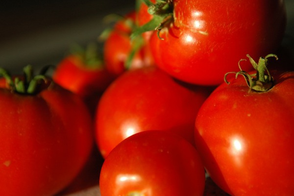 Tunezja | Podstawowym składnikiem szakszuki są pomidory