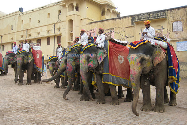 Indie | Jaipur